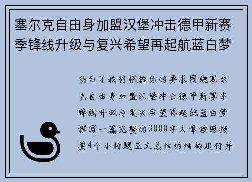 塞尔克自由身加盟汉堡冲击德甲新赛季锋线升级与复兴希望再起航蓝白梦